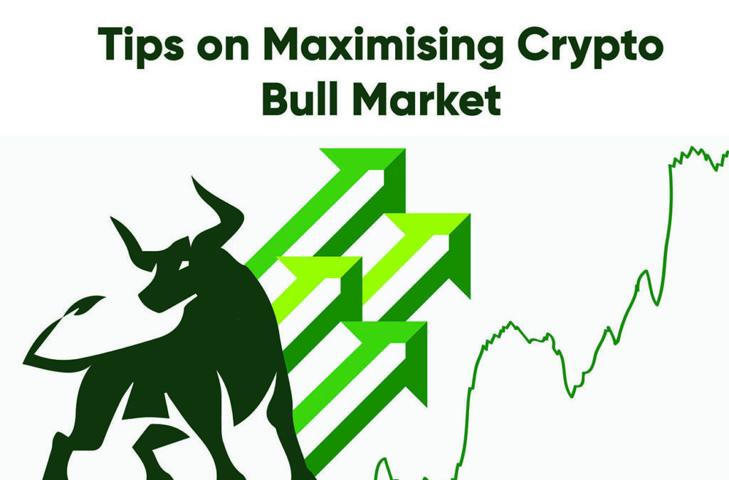 Cryptocurrency Websites Give Tips on Maximising Crypto Bull Market
