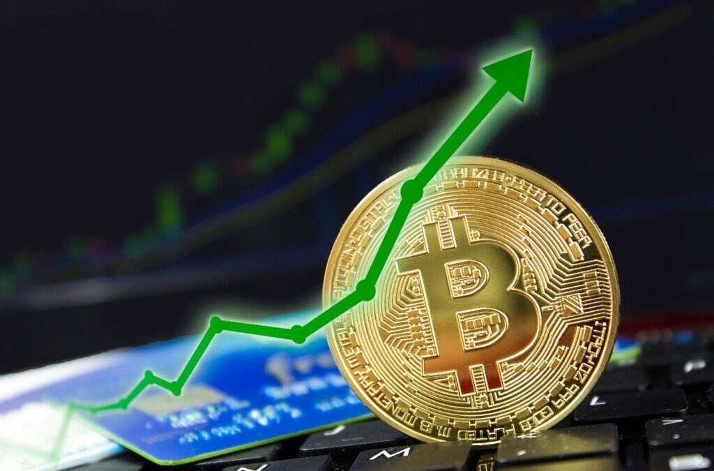 Bitcoin vs. Stocks: Top Digital Asset Blockchain Experts Reveal the Better Trading Venture
